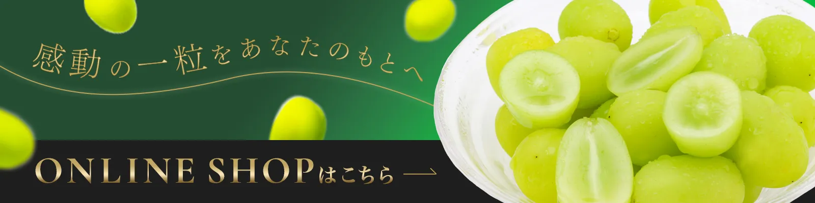 オンラインショップのバナー